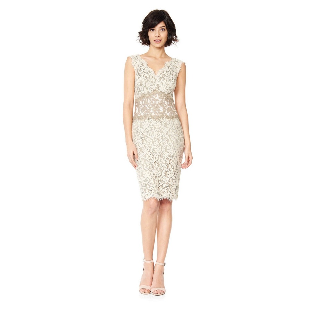 Tadashi Shoji Embroidered Lace Sheath Dress Contrast Waist Latte Pumice Size 4